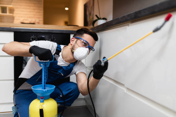 Best Affordable Pest Control Services  in Fort Pierre, SD