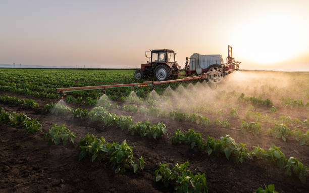 Trusted Fort Pierre, SD Pest Control Experts