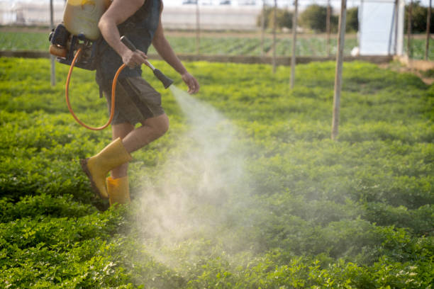 Best Pest Removal Services  in Fort Pierre, SD