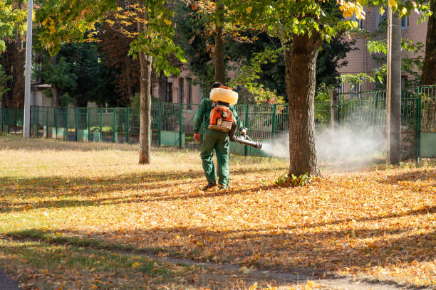 Best Local Pest Control Services  in Fort Pierre, SD