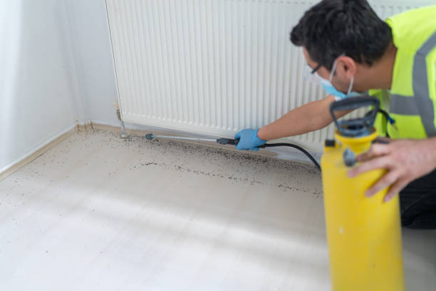 Best Emergency Pest Control  in Fort Pierre, SD
