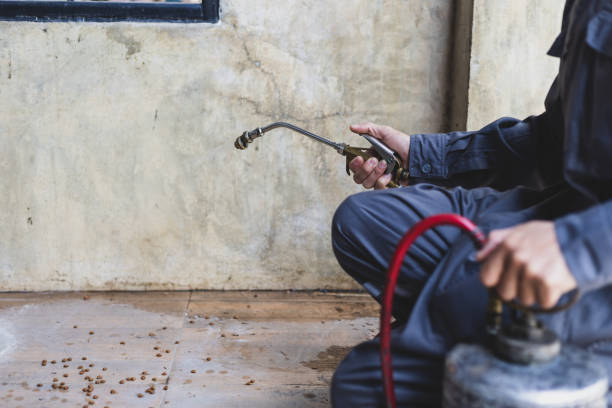 Best Best Pest Control Companies  in Fort Pierre, SD