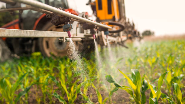 Best Best Pest Control Companies  in Fort Pierre, SD